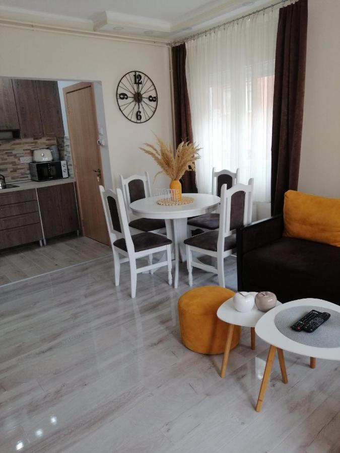 Apartman Zi-Zo Leilighet Vrsac Eksteriør bilde